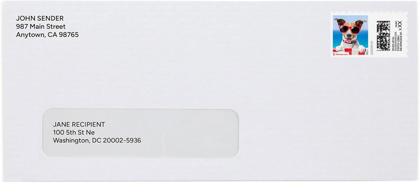 Summer Pup NetStamps 120-Pack (5 Sheets) Printable Postage Labels (Stamps.com Subscription Required) - Print Approved Postage - Inkjet & Laser Printers - Business, Personal, Home