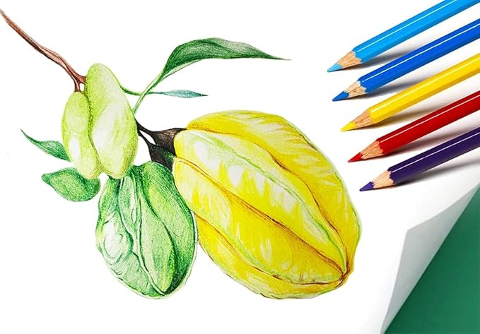 S & E TEACHER'S EDITION 50Pcs Colored Pencils,50 Vibrant Colors, Drawing Coloring Pencils for Kids Back to School Supplies for Teachers