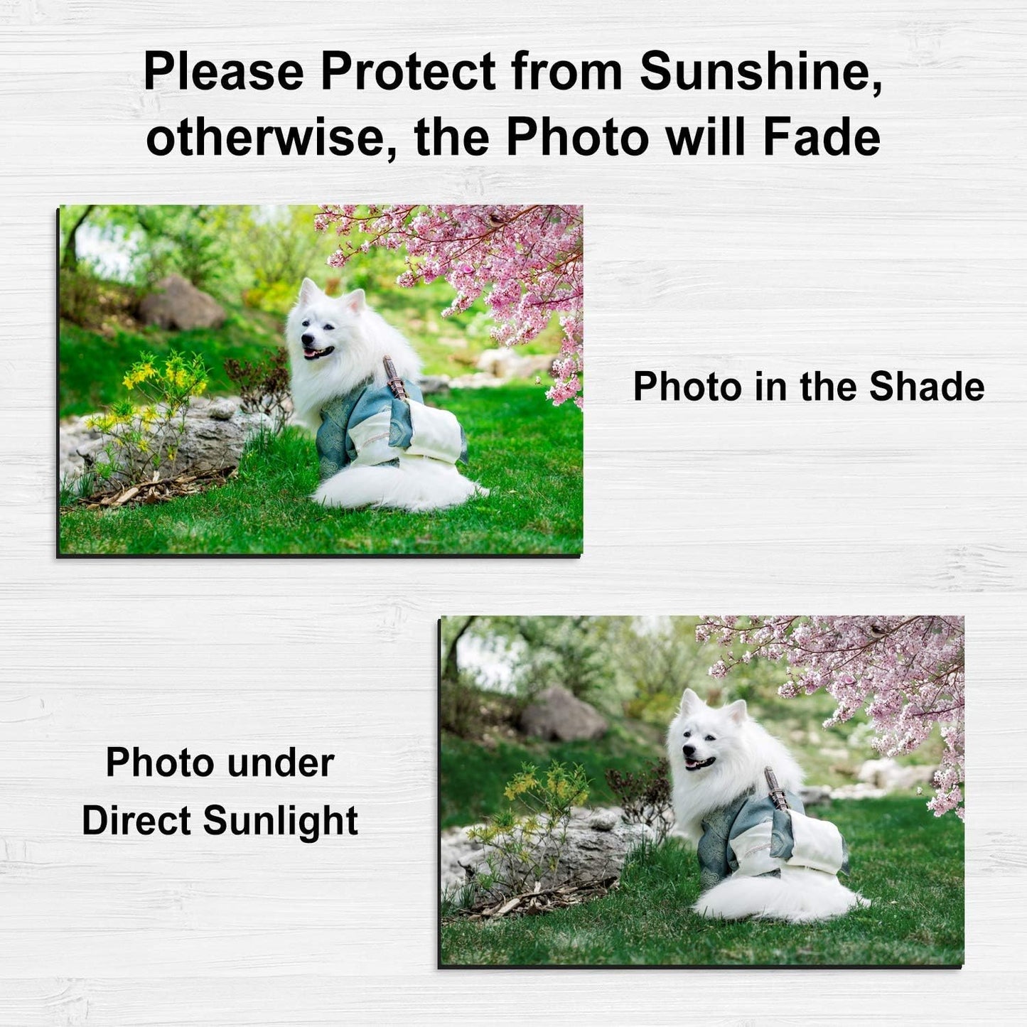 Stone City Printable Magnetic Sheets Make Refrigerator Photo Magnet Glossy Print Paper 12mil Thickness for Inkjet Printers 8.5x 11 Inches 5 Sheets