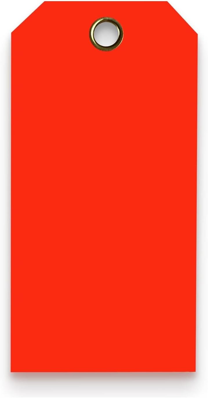 Tags 4 Less 15 Mil Waterproof Plastic Tags, Pack of 100 – 2” x 4” Heavy Duty Plastic Tags for Labeling, Outdoor Tagging, Equipment Labeling, Luggage, Valves & More (Fluorescent Orange/Red)