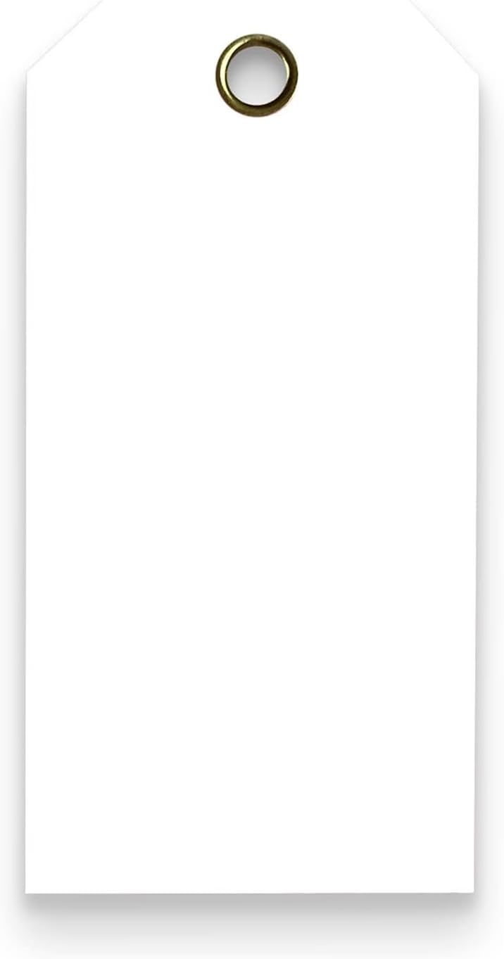 Tags 4 Less 15 Mil Waterproof Plastic Tags, Pack of 100 – 3” x 6” Heavy Duty Plastic Tags for Labeling, Outdoor Tagging, Equipment Labeling, Luggage, Valves & More (White)