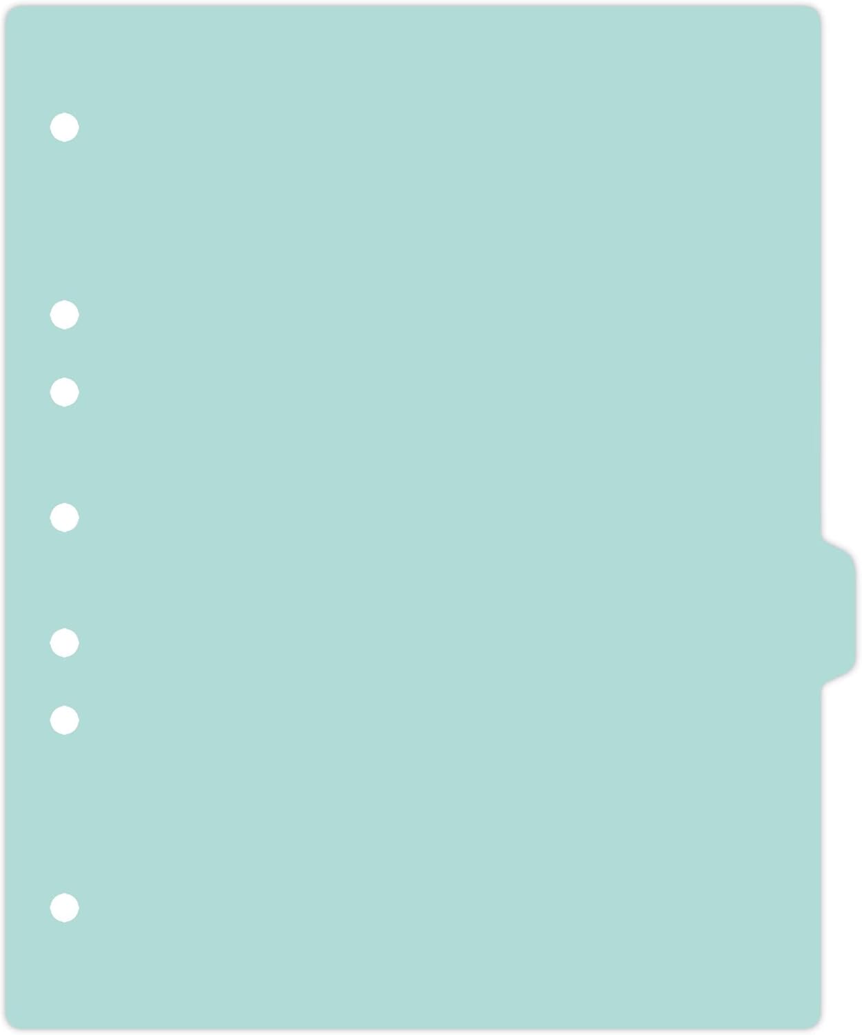 Carstens - Heavy Duty Plastic Ring Binder Dividers, Side Tab, 1/9 Cut, Tab 6 Position, US Letter, Aqua, Pack of 10, (2618-15) - Ideal Medical Chart Dividers or Index Tabs for 3 Ring Binders