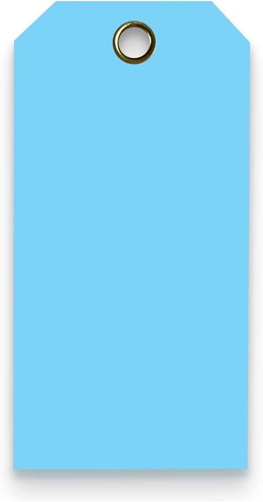Tags 4 Less 15 Mil Waterproof Plastic Tags, Pack of 100 – 3” x 6” Heavy Duty Plastic Tags for Labeling, Outdoor Tagging, Equipment Labeling, Luggage, Valves & More (Light Blue)