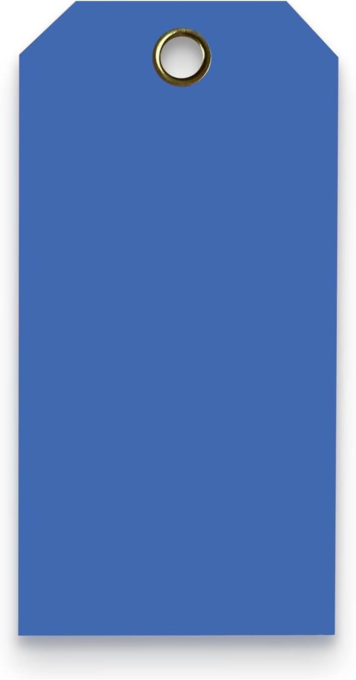 Tags 4 Less 15 Mil Waterproof Plastic Tags, Pack of 100 – 4” x 8” Heavy Duty Plastic Tags for Labeling, Outdoor Tagging, Equipment Labeling, Luggage, Valves & More (Dark Blue)