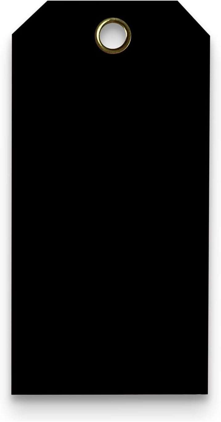 Tags 4 Less 15 Mil Waterproof Plastic Tags, Pack of 100 – 3” x 6” Heavy Duty Plastic Tags for Labeling, Outdoor Tagging, Equipment Labeling, Luggage, Valves & More (Black)