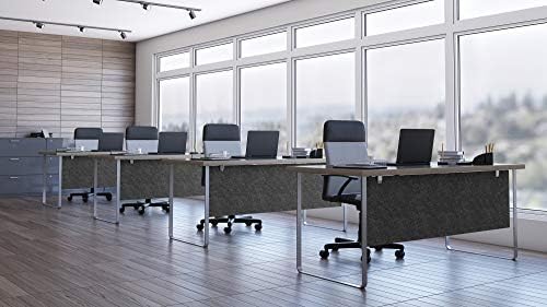 OBEX Modesty Desk PET Privacy Screen Acoustic Sound Absorbing Panel Ideal for Reception, Student Table or Office Cubicles Workstations, 24" x 42", Shadow