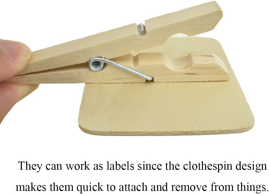 Hahiyo 2.78 x 2 Inch Mini Chalkboard Clip Help Marking Nice Display Easy Writing Quick Switch Reusable Rectangle Wooden Message Board Labels Signs 18 PCS for Party Food Tag Memo Note Organize Pantry