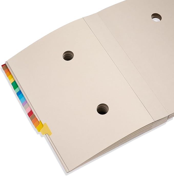 Blue Summit Expandable Monthly File Organizer, Ticker File Combo 31 Daily and 12 Monthly Tabs, Letter Size 12 Month Folder Organizer for Invoices and Documents