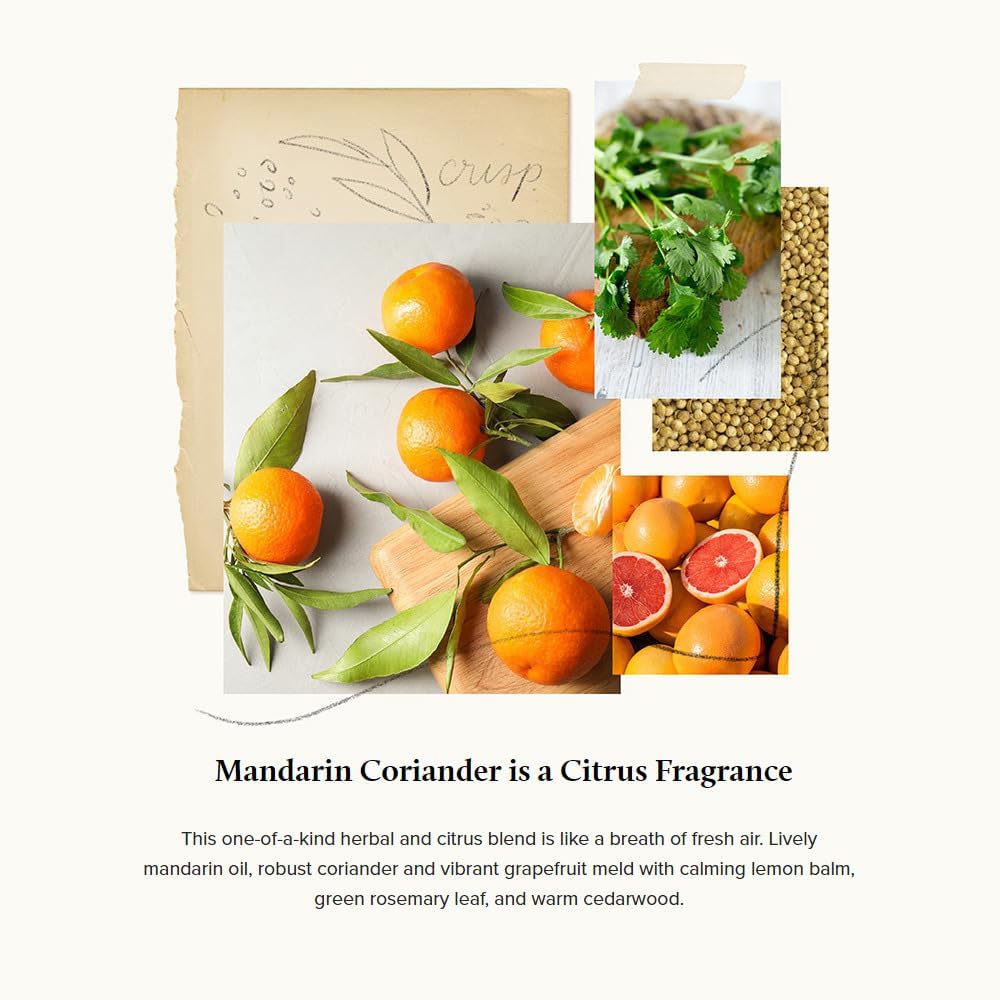 Thymes Countertop Spray - 16.5 Fl Oz - Mandarin Coriander