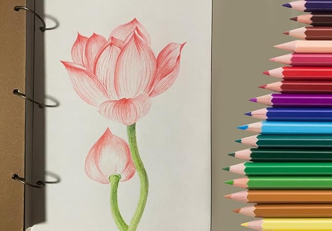 S & E TEACHER'S EDITION 50Pcs Colored Pencils,50 Vibrant Colors, Drawing Coloring Pencils for Kids Back to School Supplies for Teachers