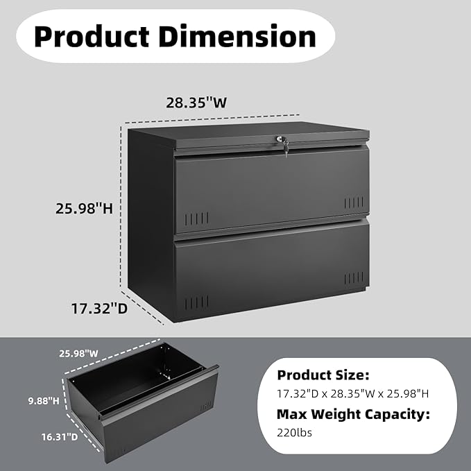 2 Drawer File Cabinet, File Cabinets for Home Office, Printer Stand, File Cabinet with Lock, Lateral Filing Cabinet for A4/Letter/Legal Size File Folders, Assembly Required(Black)