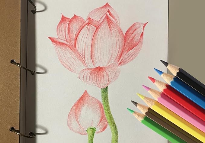 S & E TEACHER'S EDITION 144Pcs Colored Pencils, Pre-sharpened, coloring pencils for adults kids Bulk Back to School Supplies For Teachers 12 Colors, 12pcs/box, 12Boxes, Total: 144Pcs.