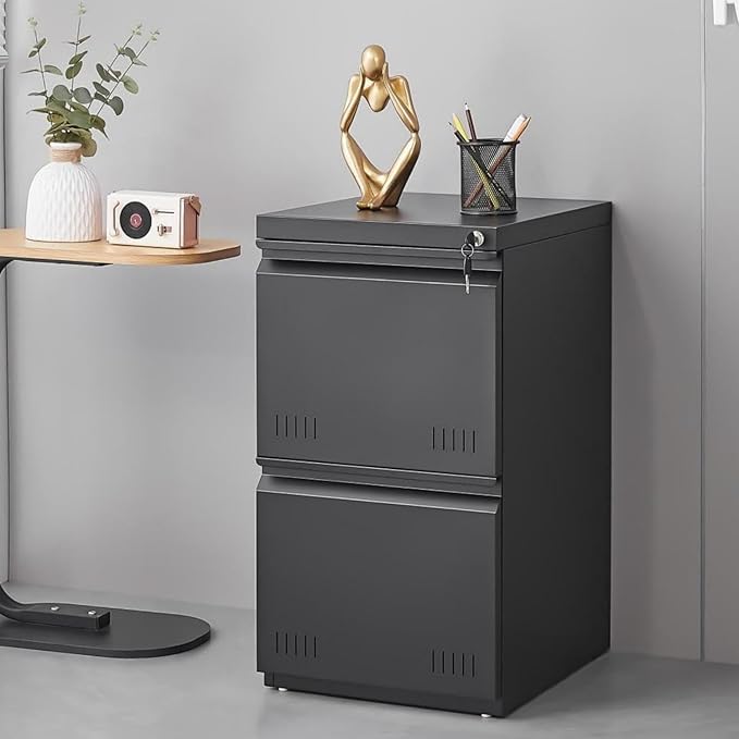 2 Drawer File Cabinet with Lock, Vertical File Cabinets for Home Office, Printer Stand, Heavy Duty Steel Office Storage Cabinet for Letter/Legal/A4, Assembly Required(Black)