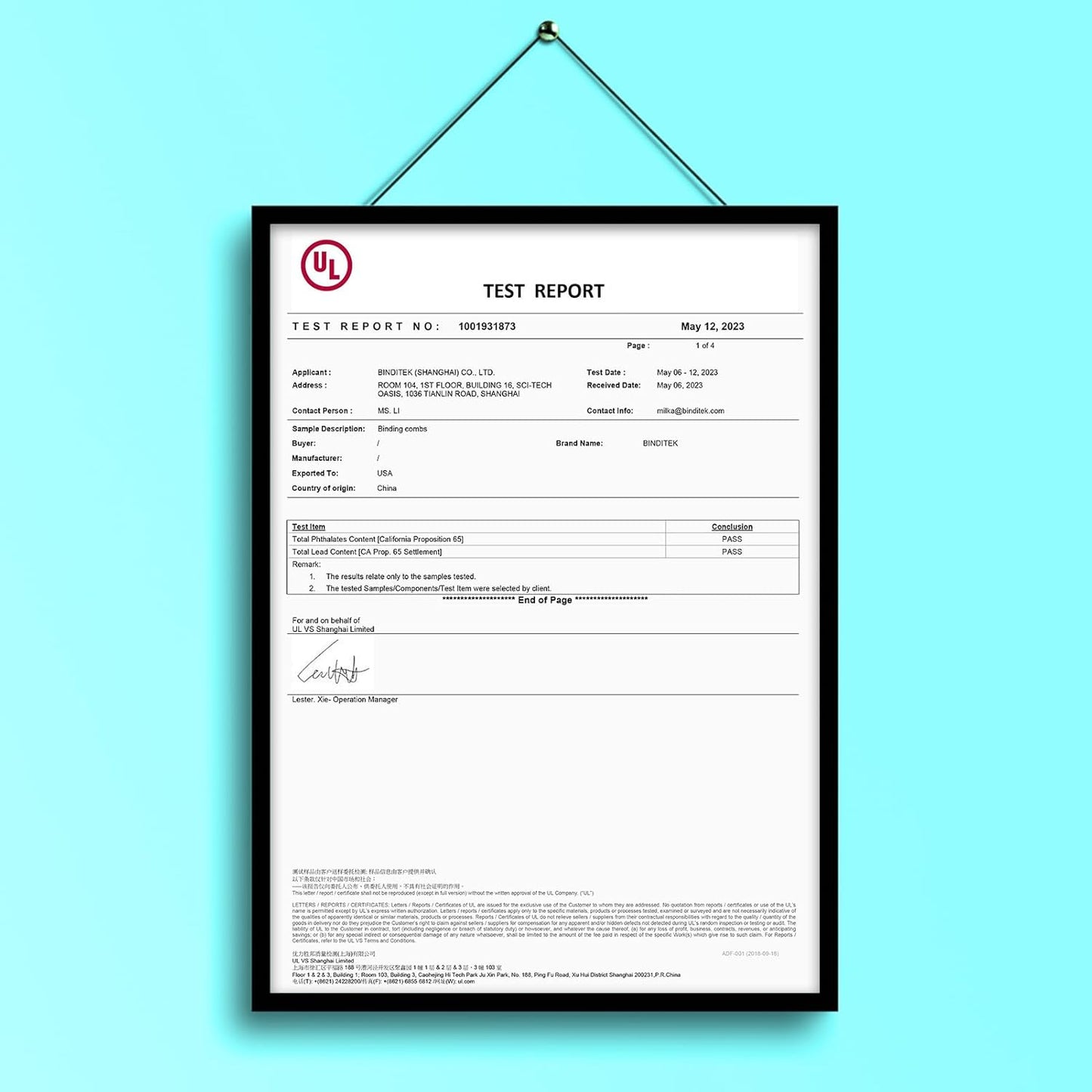 Binditek 50 Pack Plastic Binding Comb Spines, 1-3/8 Inch Diameter, 280 Sheet Capacity, 19 Ring, for Letter Size, Black, for Students and Coworkers