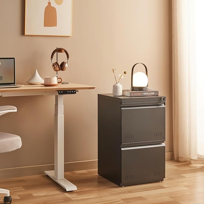 2 Drawer File Cabinets for Home Office, Vertical File Cabinet with Lock, Printer Stand, Office Storage Cabinet for A4/Letter/Legal Size, Under Desk Filing Cabinet, Assembly Required(Black)