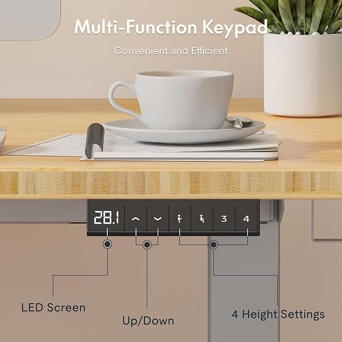 FLEXISPOT EN2 Whole-Piece Bamboo Standing Desk with Clamp Power Strip, 48 x 24 Electric Stand Up Height Adjustable Desk with Cable Management (Grey Frame + 48" Bamboo Top, 2 Packages)