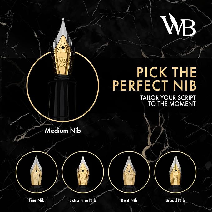 Wordsworth & Black Fountain Pen Set, 18K Gilded Extra Fine Nib, Includes 6 Pack Ink Cartridges, Ink Refill Converter & Gift Box, Chrome Finish, Calligraphy, [Silver Chrome], Perfect for Men & Women