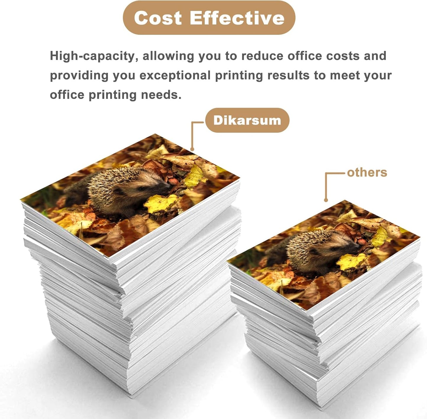 T850 Ink Cartridge Remanufactured T8507 T850700 Ink Cartridge Replacement for Surecolor P800 Printer(Light Black)