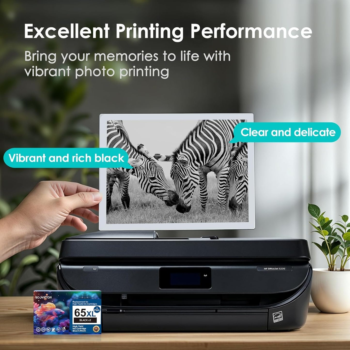 EcoVictor Remanufactured 65XL Ink Cartridges Replacement for HP 65 XL Black Ink Cartridge HP65 HP65XL Compatible Envy 5000 5055 5052 5010 5070 DeskJet 3755 3700 3772 3720 3752 2600 2622 2652 (2 Black)