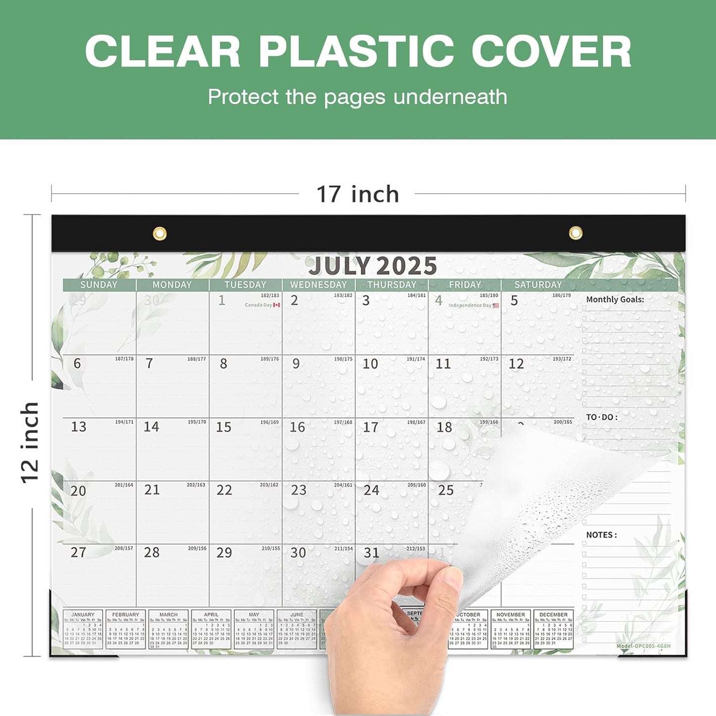 Ospelelf 2025-2026 Calendar Magnetic Desk Wall Desktop Monthly Planner from July 2025 to December 2026 Large To Do Pad with Plastic Cover for Office 17" X 12" Plant
