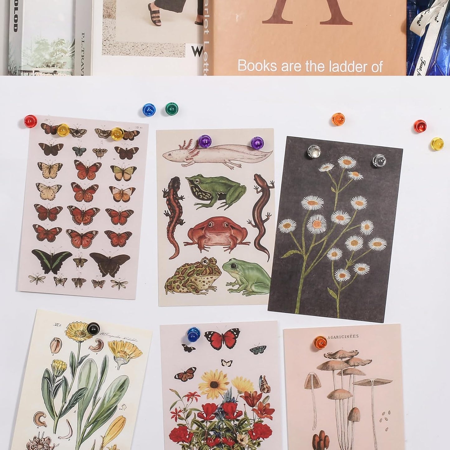 90 PCS Colorful Strong Magnetic Push Pin Magnets, 9 Assorted Color Magnetic Push Pin Magnets for Office, Classroom, Kitchen Home and School, Map Magnets, Whiteboard Magnets