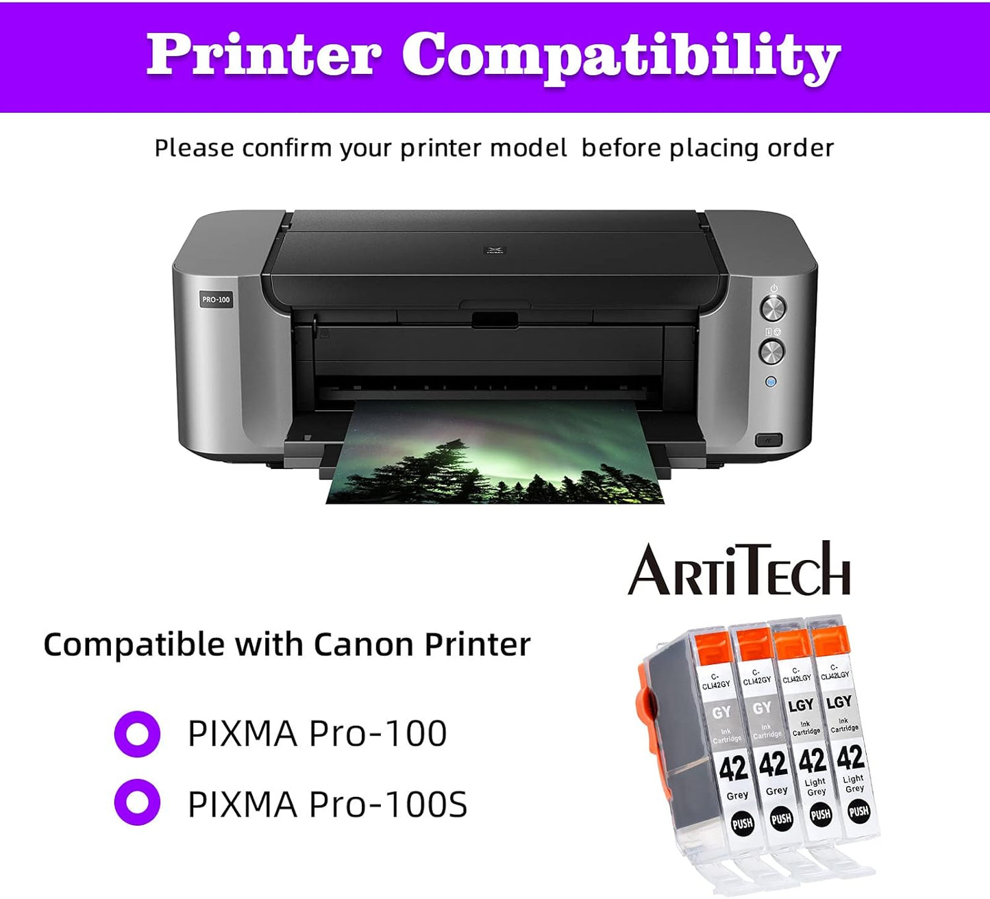 CLI-42 Pixma Pro-100 Ink Replacement for Canon CLI42 GY CLI-42 LGY Compatible Ink Cartridge Use for Pixma Pro-100 Pro-100s Printers 4 Value Pack (2 Gray, 2 Light Gray)