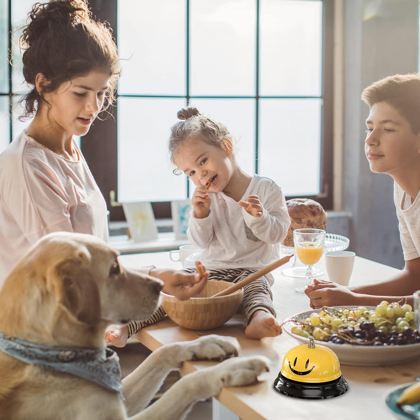 Call Bell, Service Bell Dinner Desk Bell for The Porter Kitchen Restaurant Bar Hotel Schools