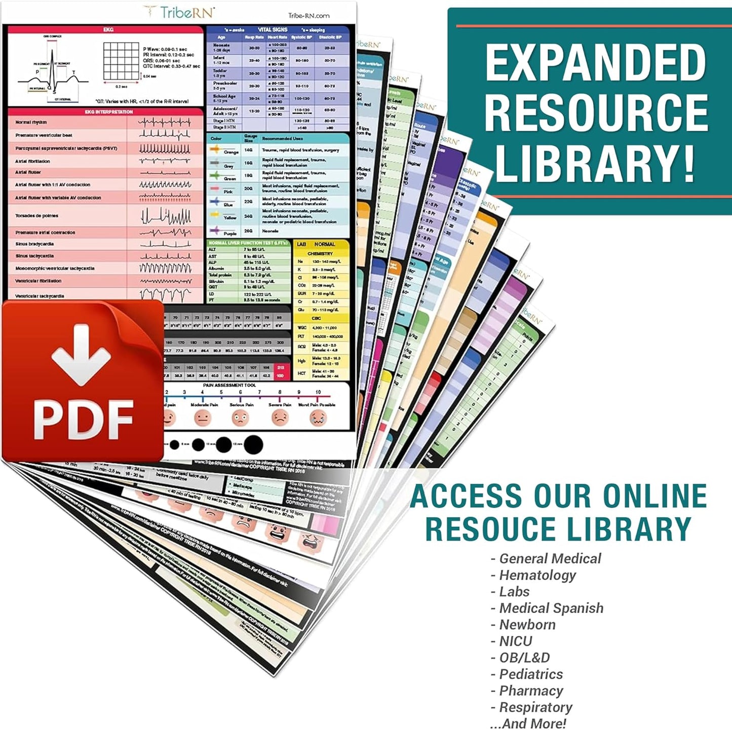 Tribe RN Nursing Clipboard with Storage - Medical Clipboard Nursing Essentials for Nurses and Nursing Students School Supplies with Quick Access Reference Guide (Black)