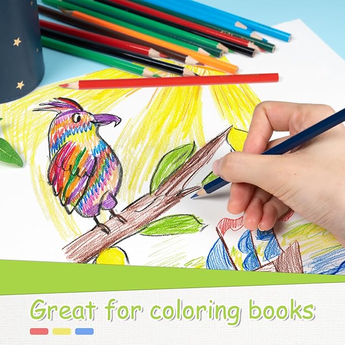 S & E TEACHER'S EDITION Colored Pencils Bulk 12 Assorted Colors Coloring Pencils Set for Kids Adults Drawing for Sketch, Back to school, Woodcase Lead Pencils Arts 240 Count