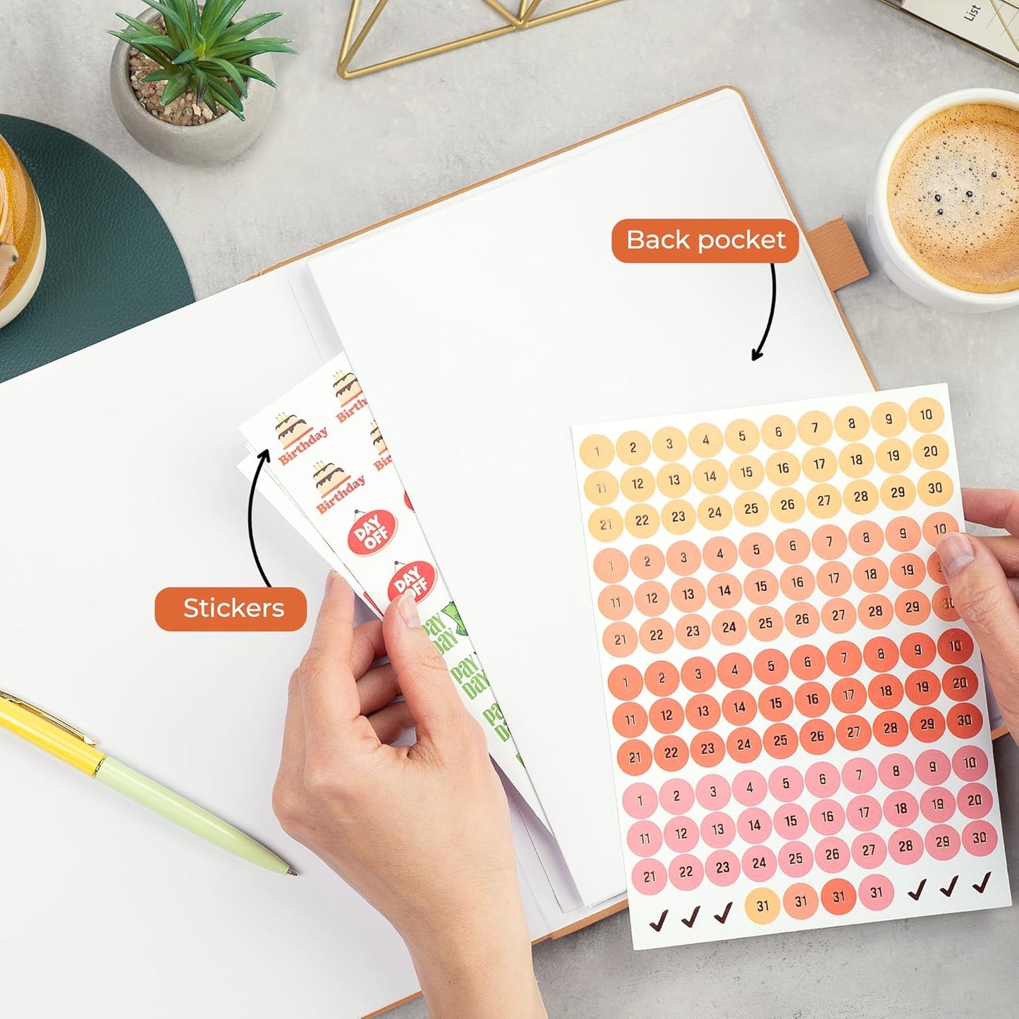 Clever Fox Appointment Book – Hourly Schedule Planner with 15-Minute Increments – Time Box Planner for Daily Work & To-Dos – Weekly & Monthly Spreads, Undated, Hardcover, 8.3x11″ (Sandstone)