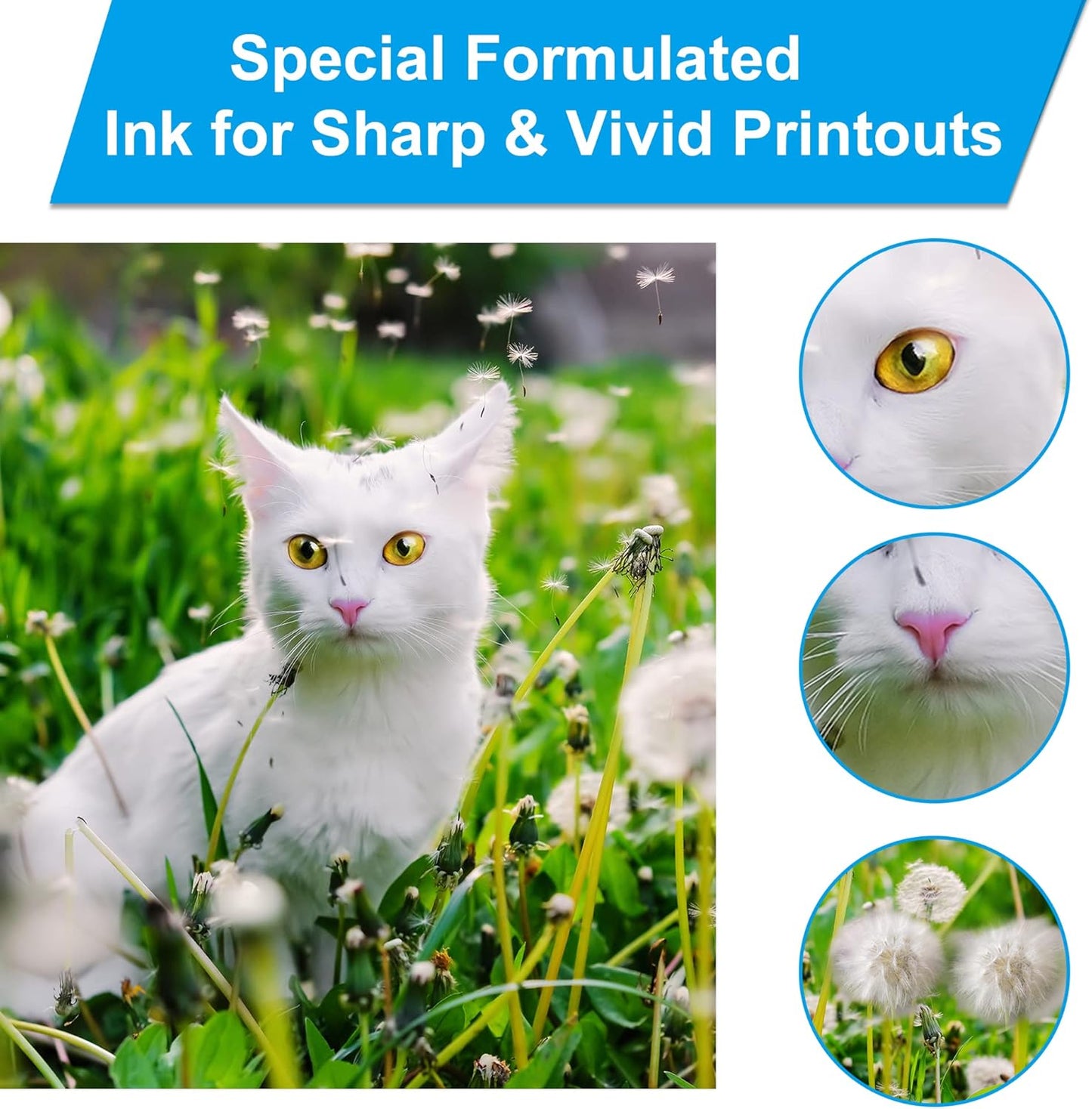 LCL Compatible with HP 31 32XL Ink Bottle Set Replacement for HP Smart Tank 7301 7001 7602 5000 6001 5101 5102 Plus 651 551 455 457 All-in-One Ink-Tank Printer (8-Pack 165ML 32XL Black,100ML 31 Color)