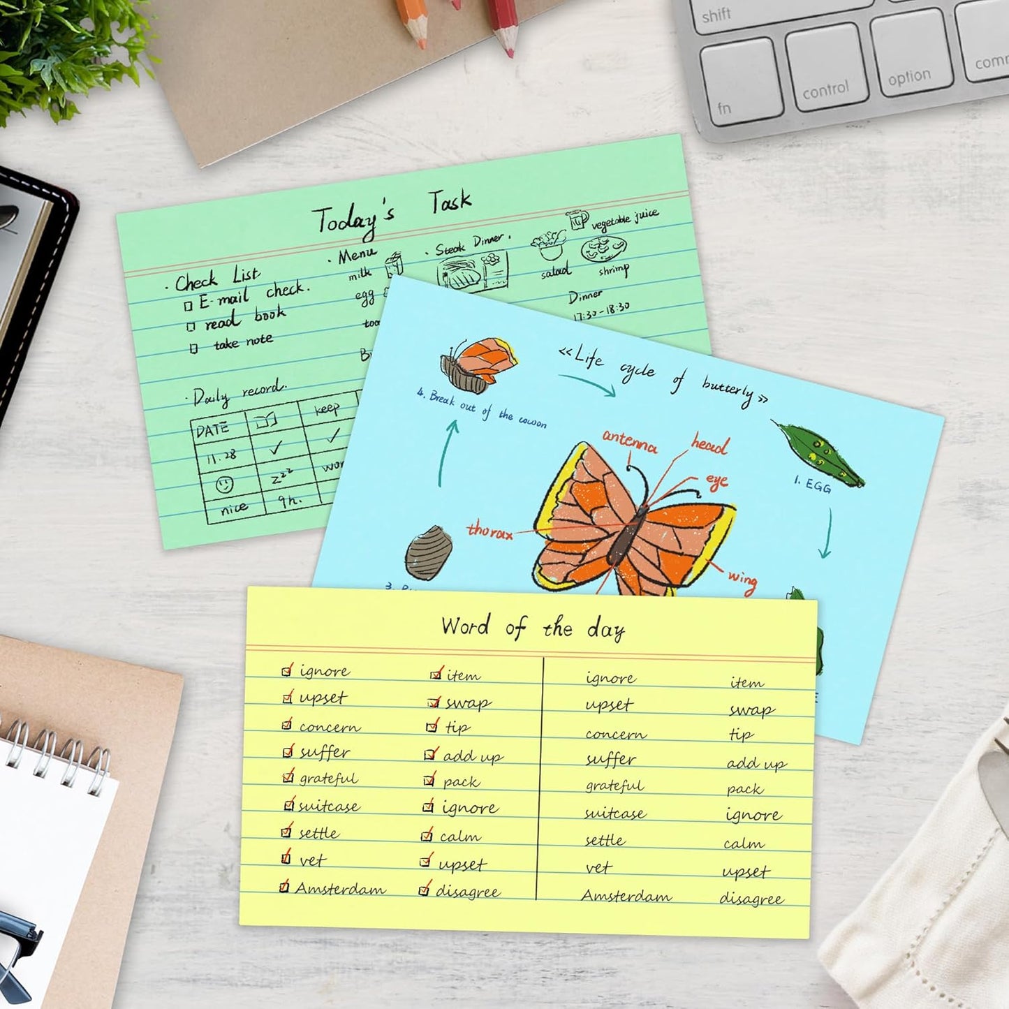 Chell 500 Count Index Cards 3x5 Inch Heavyweight, Ruled Front and Blank Back, 65 lb. Cover Weight, Pastel Colors