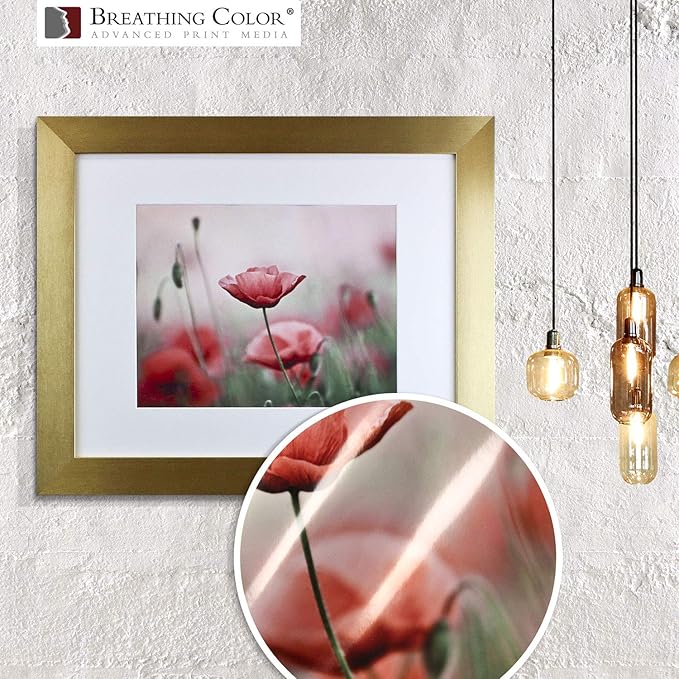 Vibrance Metallic Photo Printer Paper 10 mil 255 gsm Premium Photo Paper Sheets 13 x 19 inches 50 Sheets Works with All Inkjet Printers Including Professional Makes and Models Like Epson Canon HP