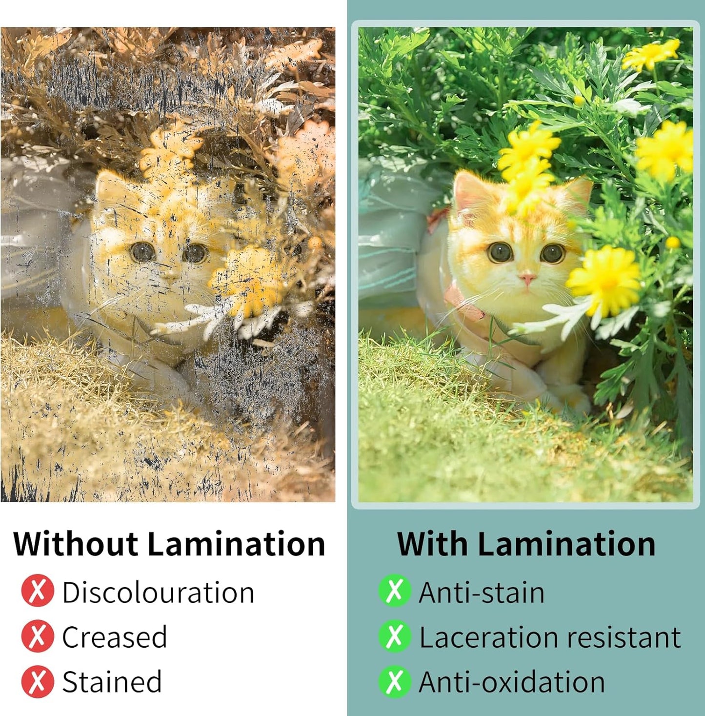 Laminating Sheets - 3Mil 200 Pack Thermal Laminating Pouches, 9"x11.5" Clear Laminate Sheets for Schedules, Menus, Certificates, Art Drawings, Round Corner