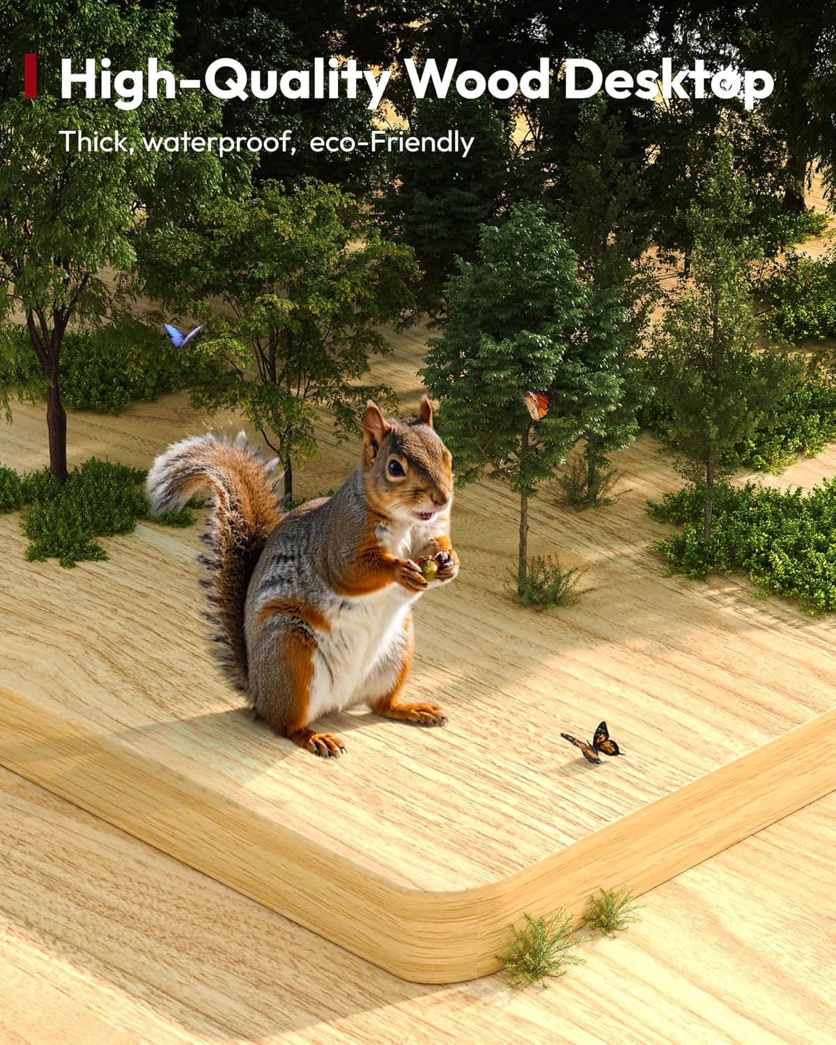 SANODESK Electric Standing Desk 60 x 24 Inches Whole-Piece Desktop Height Adjustable Stand Up Desk w/6-Button Controller Ergonomic Computer Desk for Home Office, Black Frame + Natural Tabletop